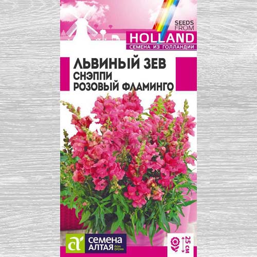  Львиный зев Снэппи Розовый фламинго