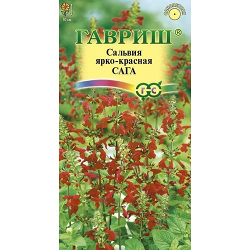   Беккер Сальвия Сага Гавриш