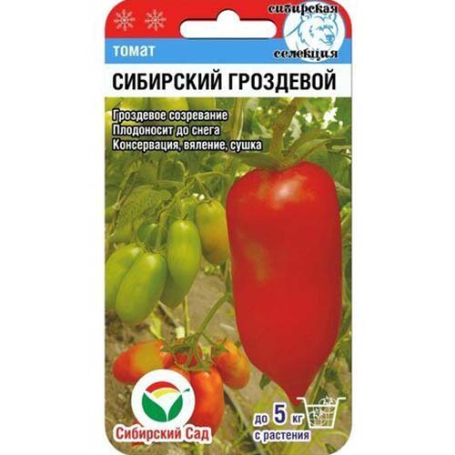 Томат &#127813; Томат Сибирский гроздевой Сибирский сад