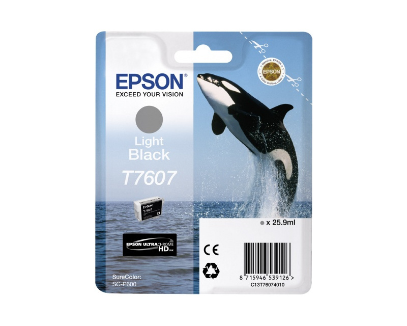 Картридж светло-серый Epson C13T76074010