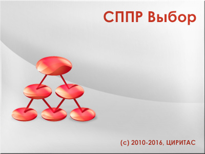 СППР Выбор 8.1