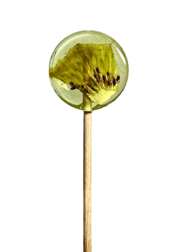 Для детей  Itab Lollipops, Леденец на палочке из изомальта с сублимированным киви, 1 шт.