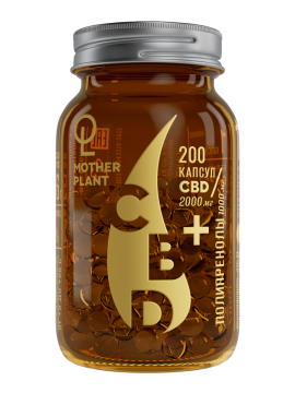 MotherPlant, Масло CBD с полипренолами, капсулы, 200 шт.