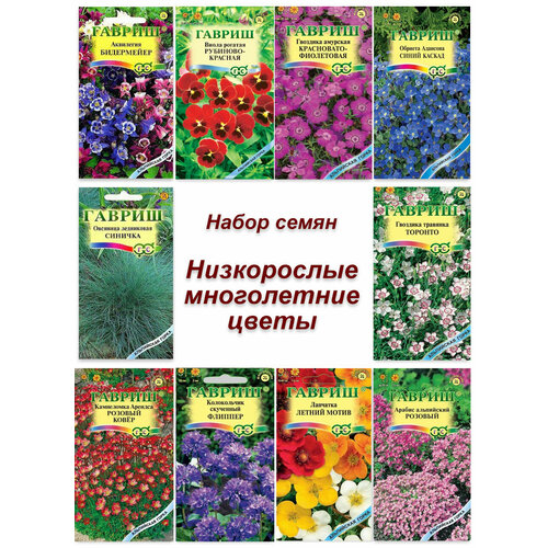 Набор семян, семена низкорослых многолетних цветов - аквилегия, виола, примула,