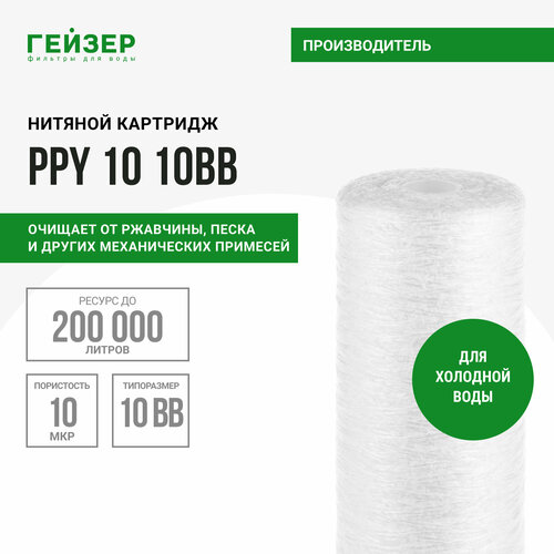 Гейзер Картридж PPY 10 ВВ10 28056, 1 уп, 1 шт.