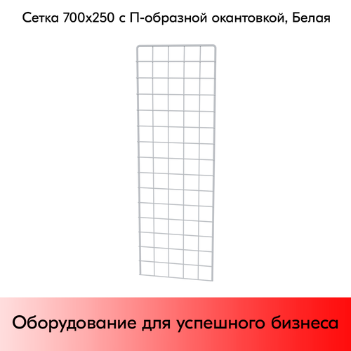 Сетка 700х250 с П-образной окантовкой, RAL9016,