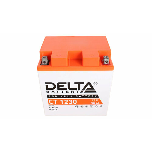 Аккумулятор для спецтехники DELTA Battery CT 1230 12В / 30А·ч, полярность