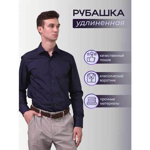 Блузы и рубашки Рубашка Allan Neumann, размер 42 176-182, фиолетовый