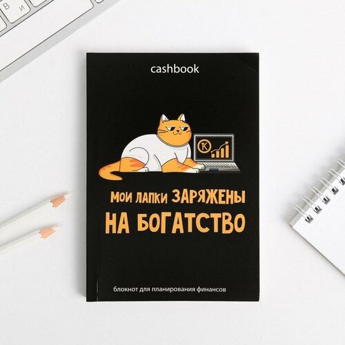 Умный блокнот CashBook А6, 68 листов «Кот