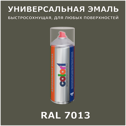 Краска Color1 универсальная аэрозольная акриловая, RAL 7013, матовая, 520