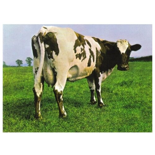 PINK FLOYD ATOM HEART MOTHER Digisleeve Remastered