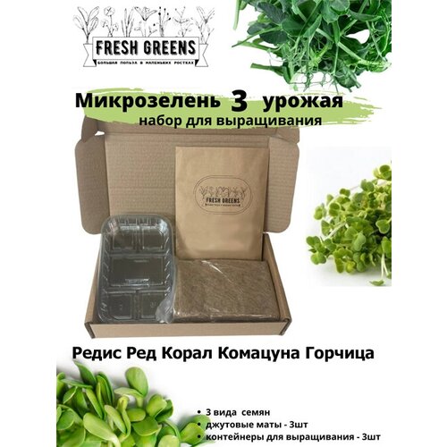 Микрозелень для выращивания Набор Fresh Greens (Редис Ред Корал Комацуна