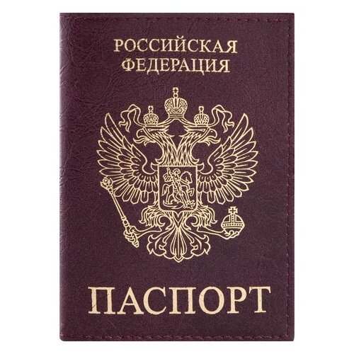 Обложки для документов  Беру Обложка для паспорта STAFF Profit 237192