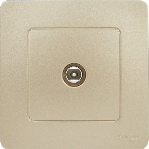 Телевизионный коннектор встраиваемый Schneider Electric Blanca цвет