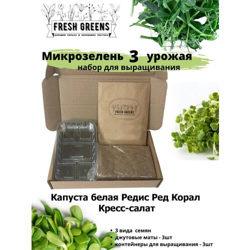 Микрозелень для выращивания Набор Fresh Greens (Капуста белокочанная Редис Ред