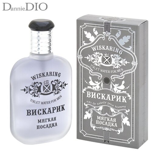 Positive Parfum Туалетная вода для мужчин WISKARING вискарик мягкая посадка 65
