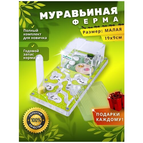 Террариумы Малая муравьиная ферма максимальный