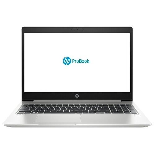 Ноутбук HP ProBook 450 G7 (6YY25AV)