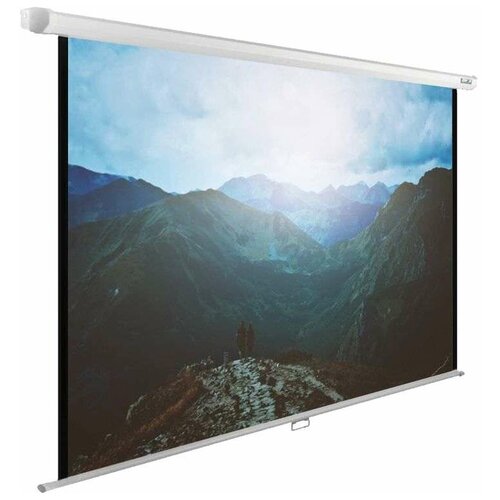 Рулонный матовый белый экран cactus WallExpert CS-PSWE-240x240-WT, 1:1, 130,