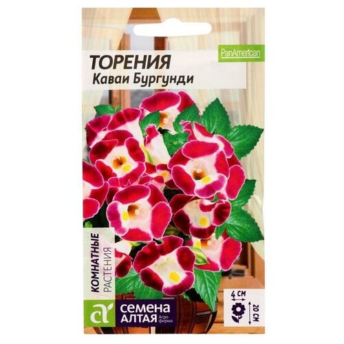 Семена цветов Торения Каваи Бургунди, 5