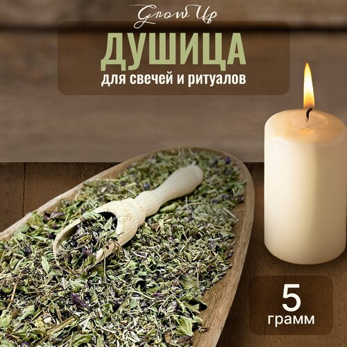 Сухая трава Душица для свечей и ритуалов, 5