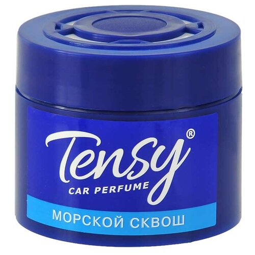 TENSY Ароматизатор TENSY морской сквош КZ-03