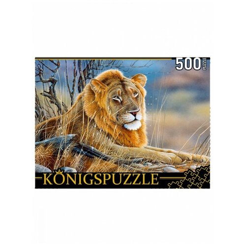 Пазл Konigspuzzle 500 деталей: Я. Веннинг.