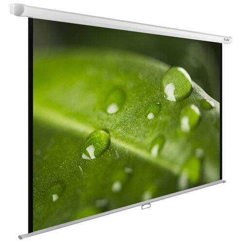 Рулонный матовый белый экран cactus WallExpert CS-PSWE-200x150-WT,