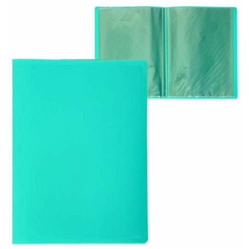 Папка 30 прозр вкладышей A4 500мкм Calligrata ледяной зеленый