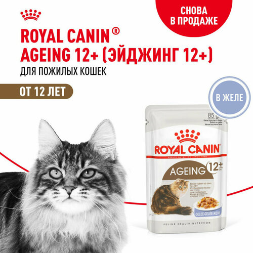 Royal Canin Agening 12+ влажный корм для стареющих кошек старше 12 лет, мелкие кусочки в желе, в