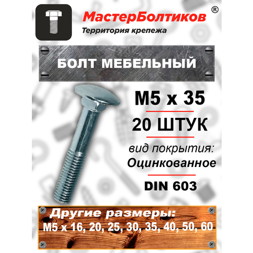 Болт мебельный 5х35 оцинкованный (20