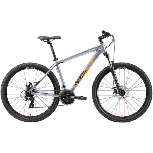 Горный (MTB) велосипед Welt Ridge 1.0 D 29 (2021) marine blu