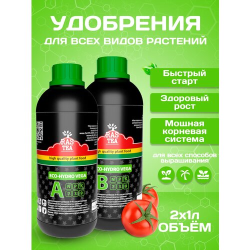 RasTea Eco-Hydro Vega A+B 1L / Двухкомпонентная база для вегетативной стадии /