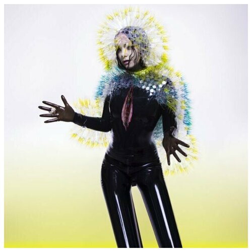 BJORK: Vulnicura