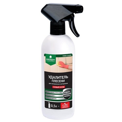 Удалитель плесени PROSEPT FUNGI CLEAN 1 л