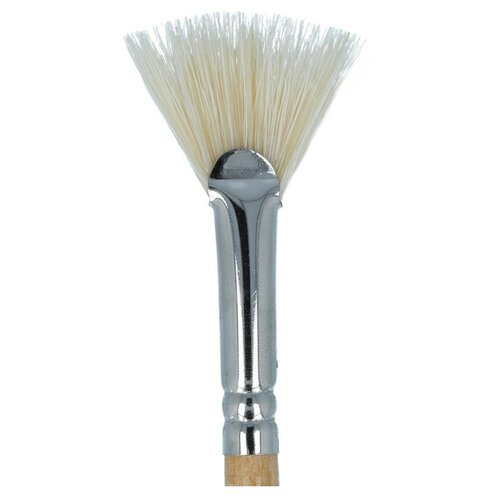 Кисть щетина Mr. Painter BBW 132-06 веерная короткая ручка №06