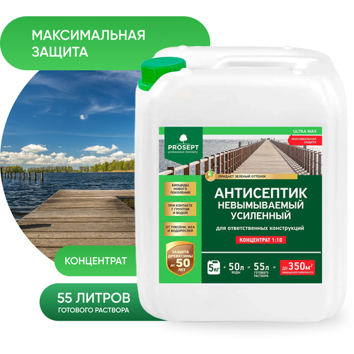 Антисептик усиленный невымываемый PROSEPT ULTRA MAX, 5