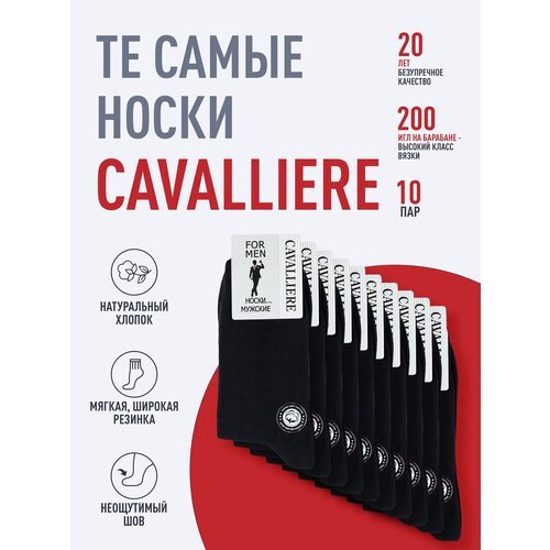 Мужские носки RuSocks, 10 пар, классические, размер 31,