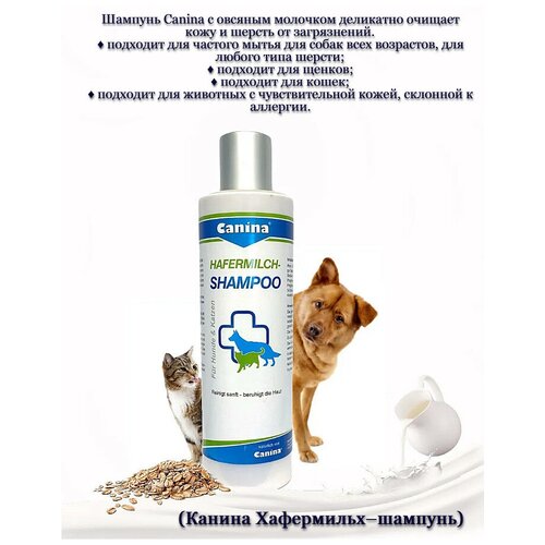 Косметика и гигиена Canina Hafermilch-Shampoo шампунь для животных с овсяным молоком 250 мл (1