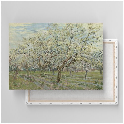 Картина на холсте с подрамником / Van Gogh / Ван Гог - Абрик