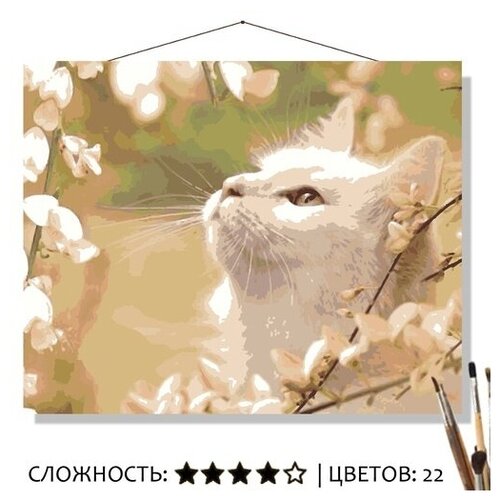 Картина по номерам на холсте 50х40 Весенняя нежность котик