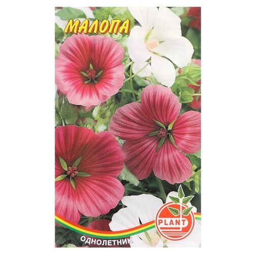 Plant Семена цветов Малопа 0,1 г