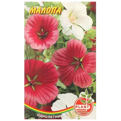 Семена цветов Малопа, 0,1