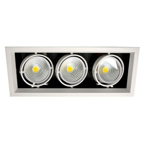 Светильник встраиваемый карданный светодиодный LED 3*20W, WH