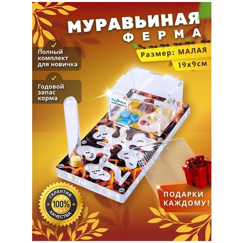 Террариумы  Яндекс Маркет Малая муравьиная ферма максимальный