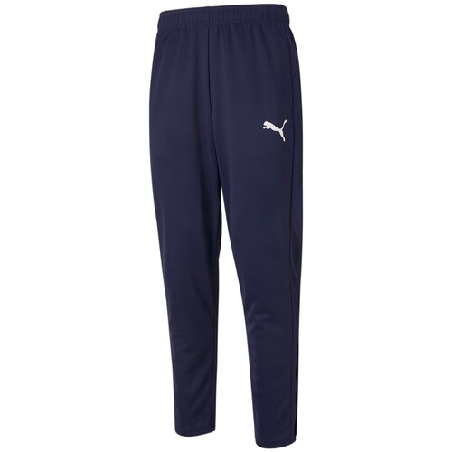 Брюки Puma Active Tricot Cl Синий Xl 58673106