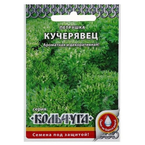 Семена Петрушка листовая Кучерявец, серия Кольчуга NEW, 2