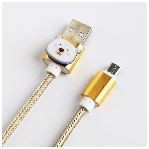 Набор держатель для провода+кабель micro USB «Winter», 1А, 1