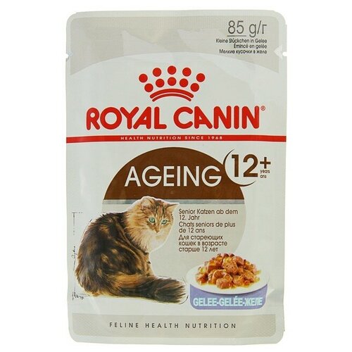 Влажный корм для пожилых кошек Royal Canin Ageing +12 85 г (кусочки в