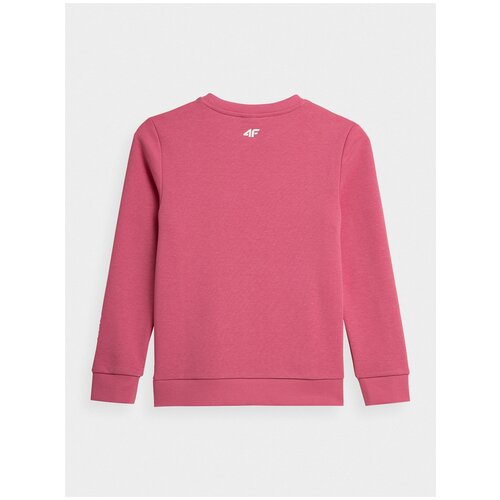 Лонгслив 4F Girl'S Longsleeves Hjz21-Jtsdl002-54S 164